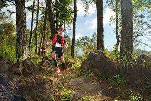 BIB: 
                            <button type="button" onclick="openModal(18915367)" class="btn btn-primary btn-sm float-right btn-popup" data-toggle="modal" data-target=".modal-high-quality">
                        <i class="fas fa-shopping-cart"></i> Add to Cart
                    </button>
                                            <button type="button" onclick="isThisMe(18915367, true)" class="btn btn-success btn-sm float-right btn-popup btn-isme hidden" data-toggle="tooltip" data-placement="bottom" title="นี่คือรูปของคุณใช่ไหม คลิกที่นี่เพื่อเอาเข้าอัลบั้ม">
                        <i class="fas fa-plus"></i> Add to album
                    </button>
                    <button type="button" onclick="isThisMe(18915367, false)" class="btn btn-warning btn-sm float-right btn-popup btn-isnotme hidden">
                        <i class="fas fa-ban"></i> Remove from album
                    </button>